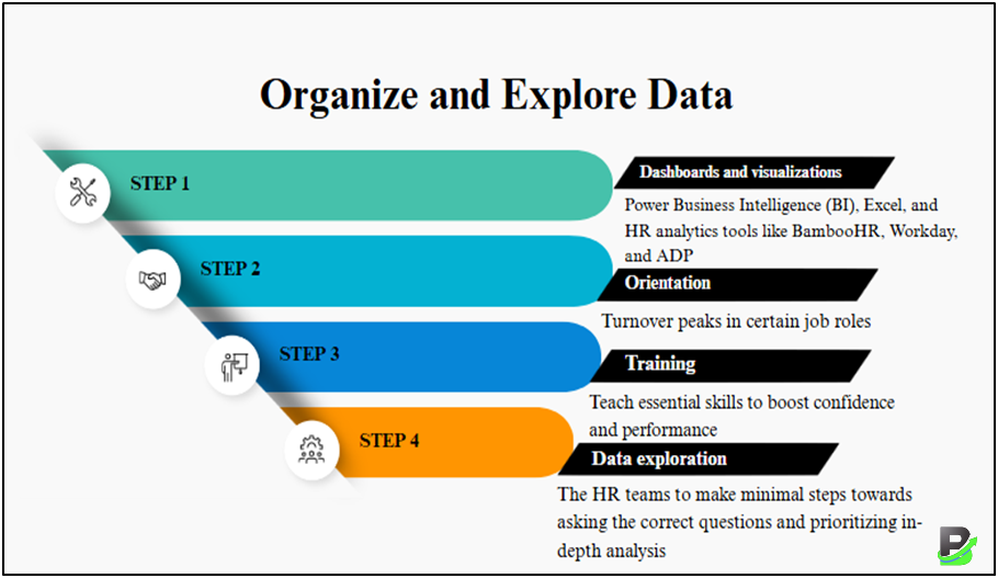 Organize and Explore Data