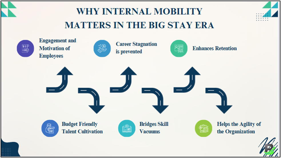 Why Internal Mobility Matters