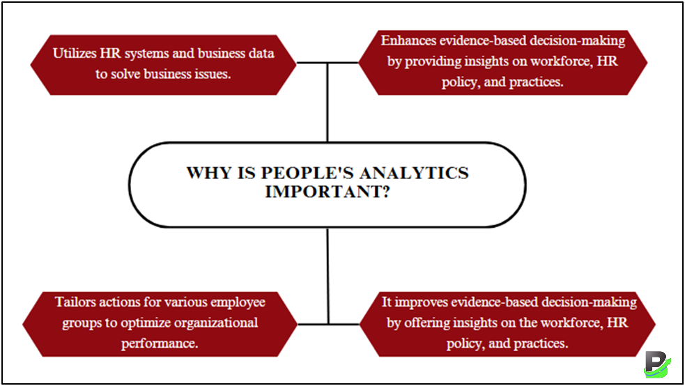 Why is People Analytics Important
